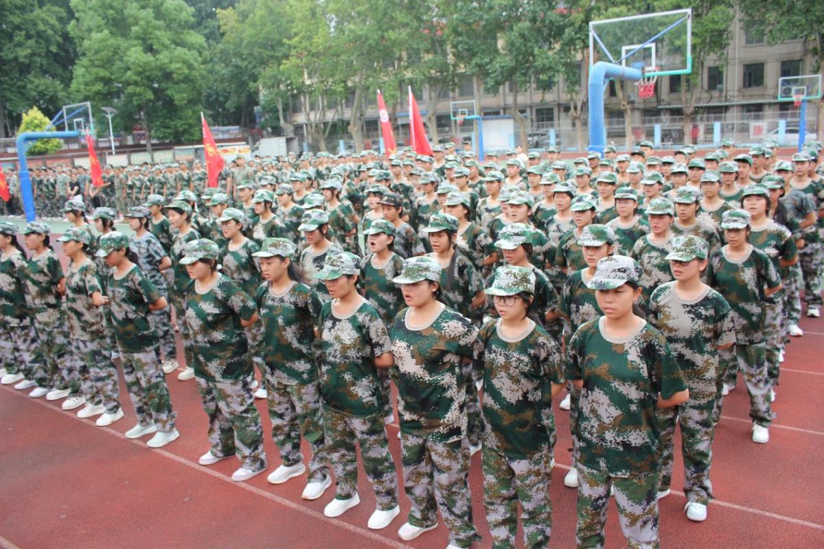 导入图片