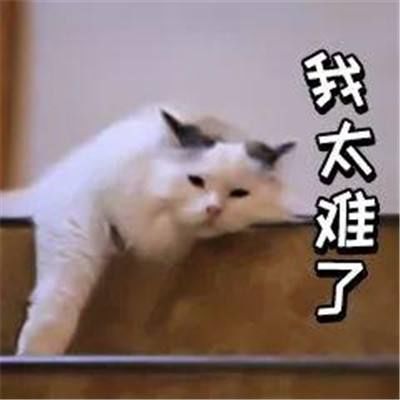 致家长：孩子居家学习，你的高质量陪伴，是最高级的课程 ！（孩子上网课，看看你是哪种类型的家长）