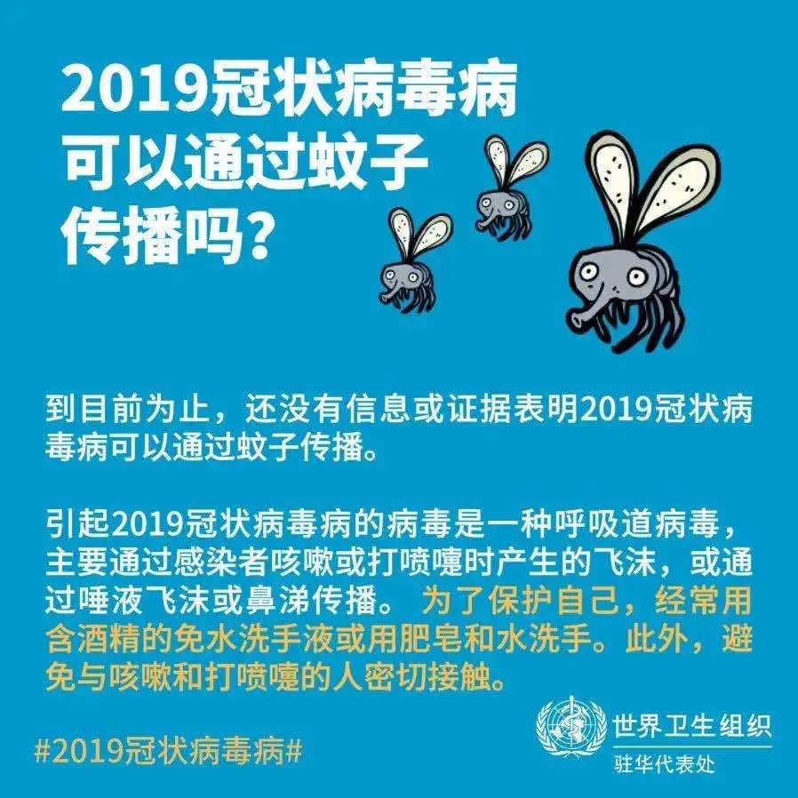 蚊子会传播新冠病毒吗？官方回应！